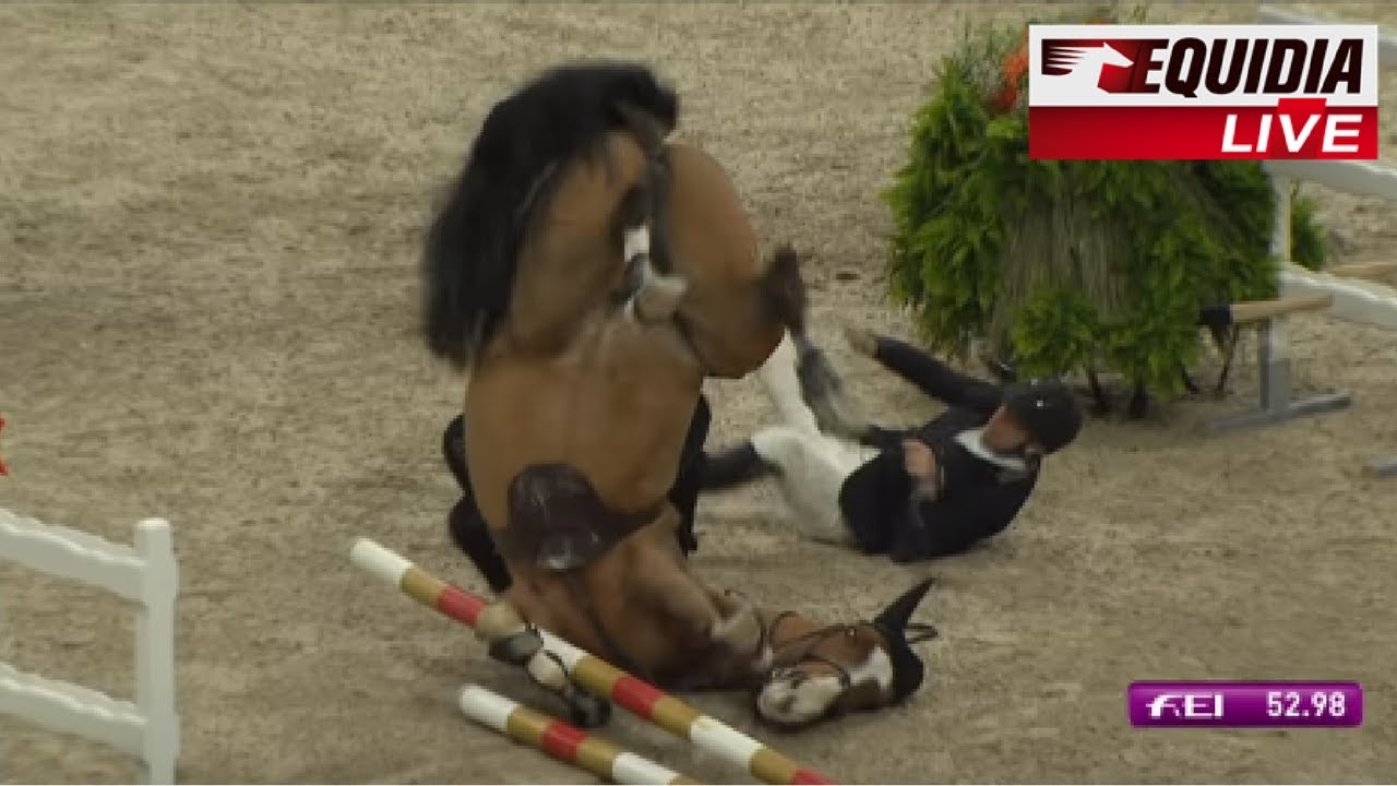 EQUIDIA ZAP JANVIER 2017