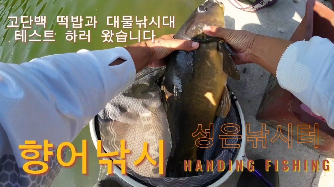 #성은낚시터#향어낚시#대물낚시대#향어떡밥 테스트