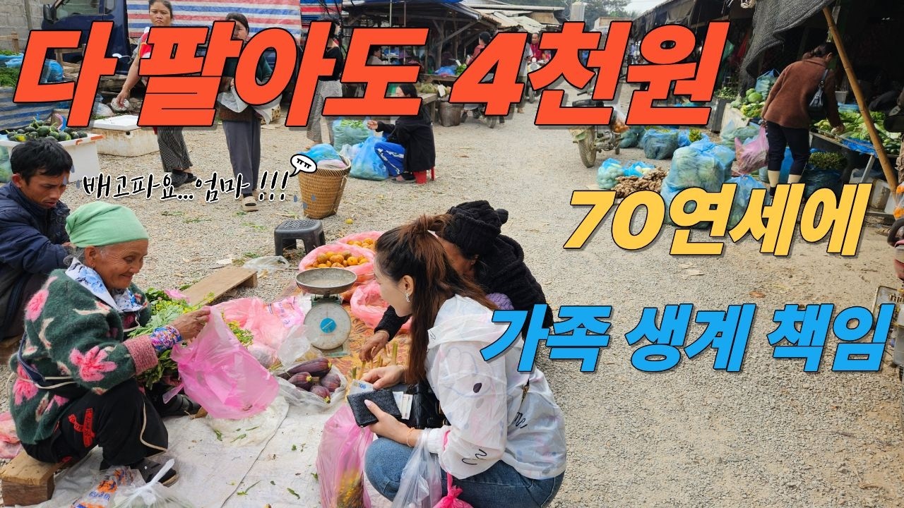 하루 잘놀고..가는길에..