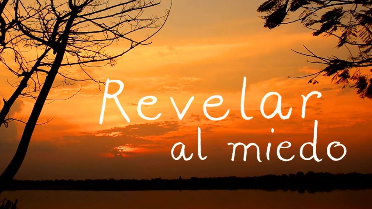 Conciencia Crística: la integración que disipa el miedo.  #evolucionespiritual #consciencia #amor 