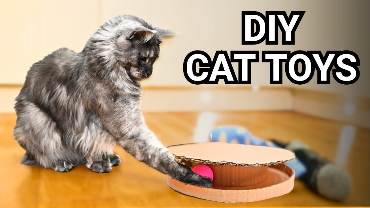 20 DIY Cat Toys Your Cats WILL Go CRAZY For! (& How To Make Them!)