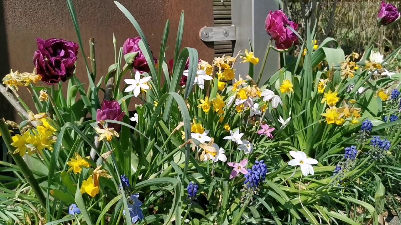 Spring in Berlin-Reinickendorf