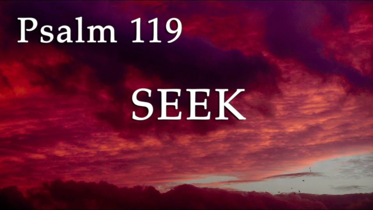 ❤️ Psalm 119 [Without Music] - Blessed are Those Who Seek God With all Their Heart.