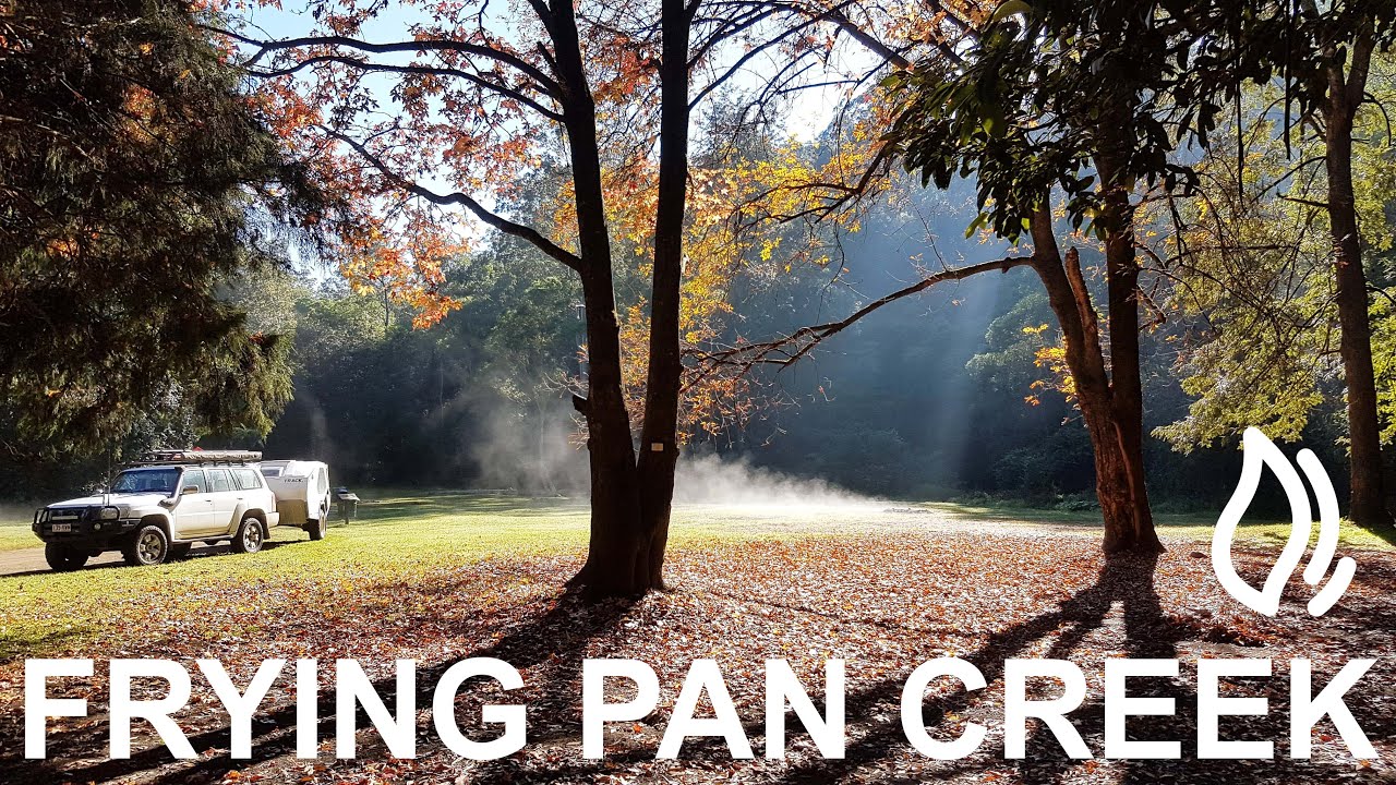 Frying Pan Creek Campground - Chichester State Forest, NSW