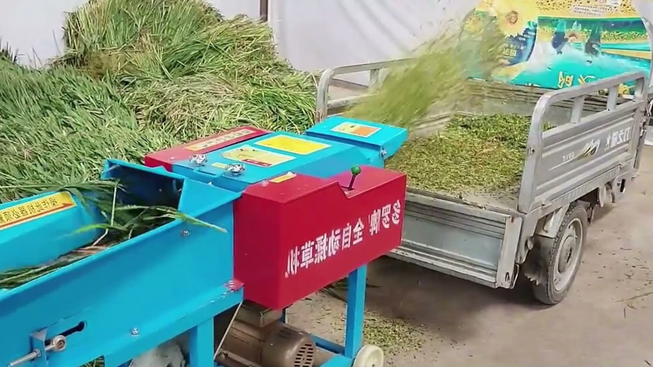 small feed processing machine for poultry farm