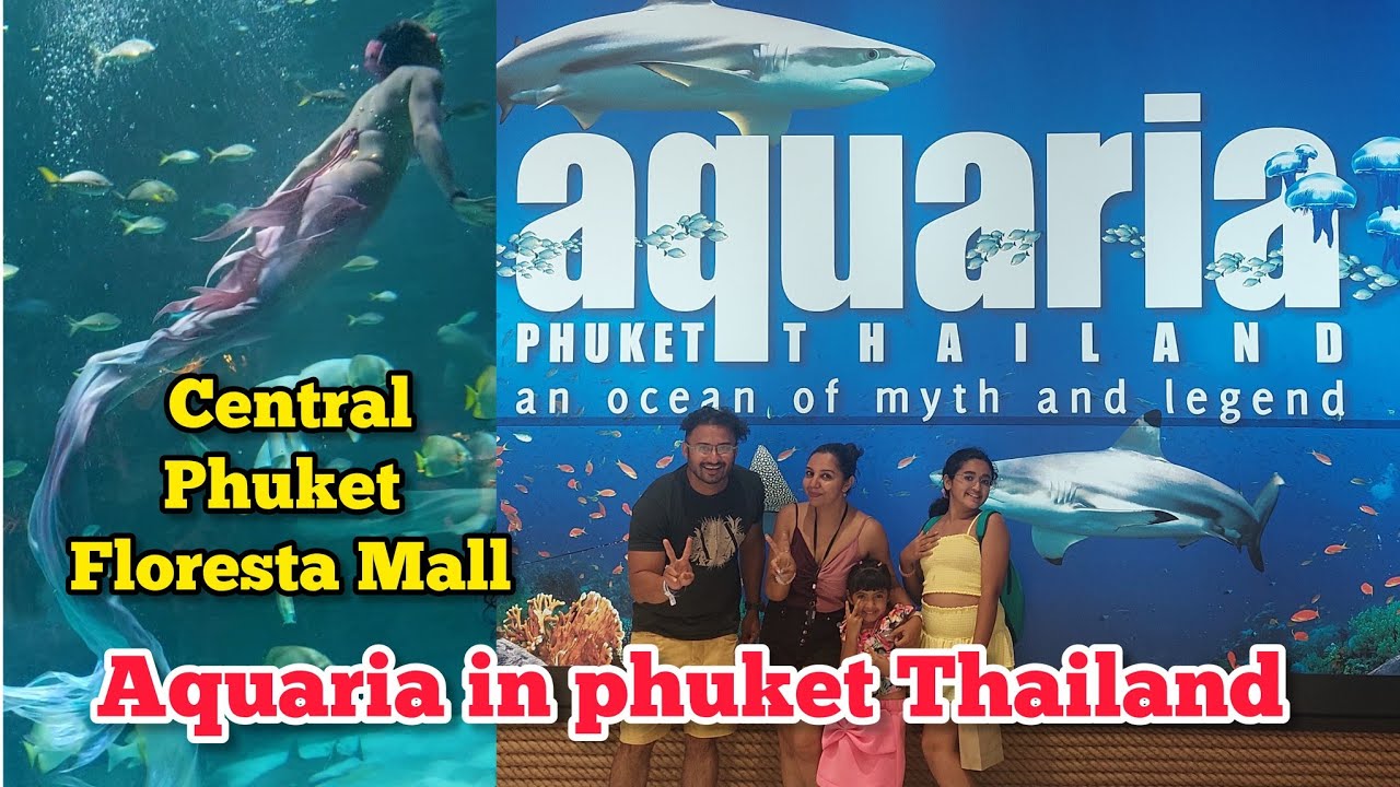 Thailand Phuket Aquaria | Aquaria In Phuket Best Aquarium in Thailand | Aquaria Famous Place