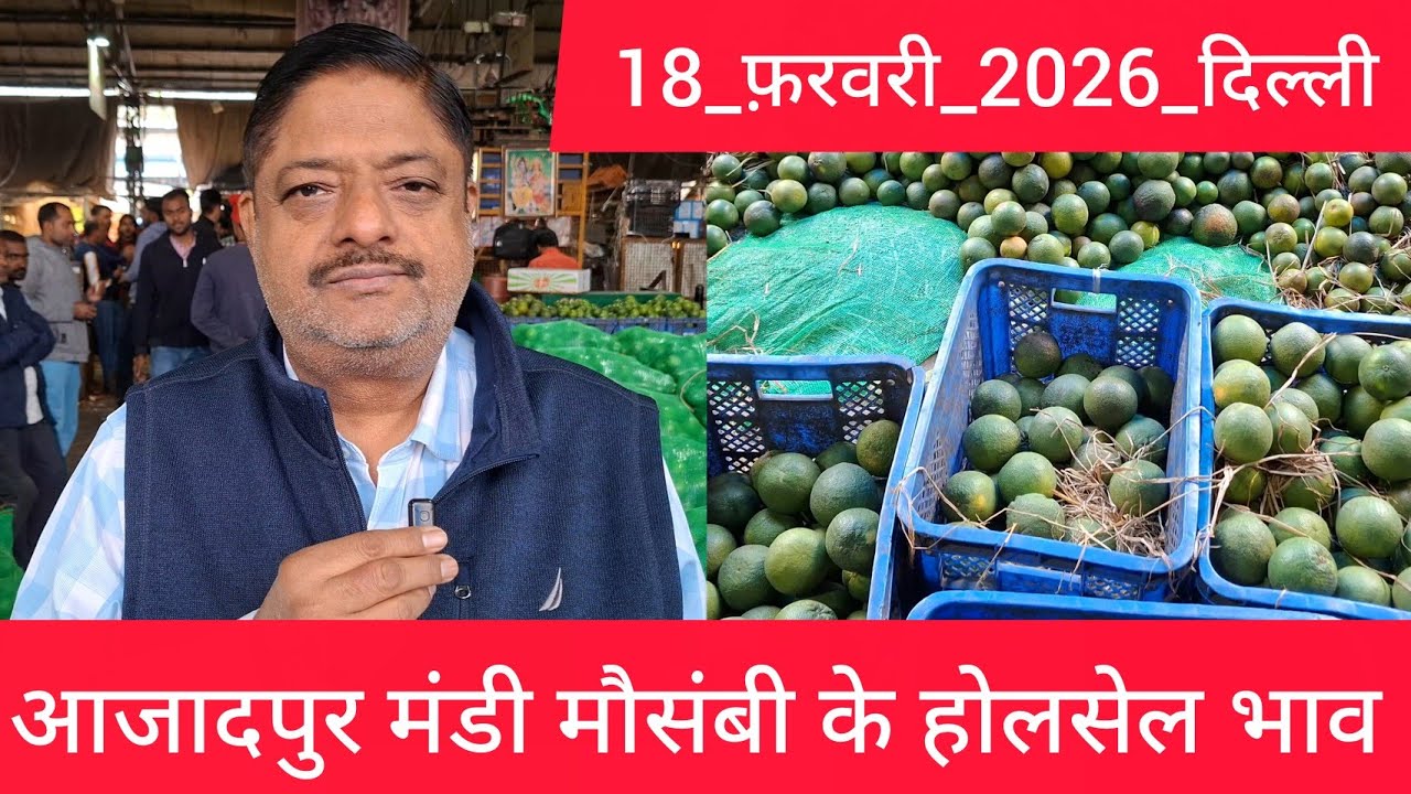 18 February 2026 दिल्ली मौसम्बी के होलसेल भाव  delhi mousambi market price delhi fruit market 