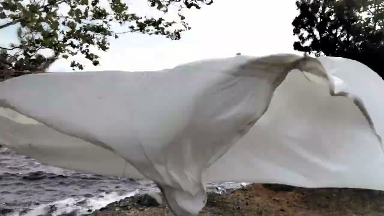 Old sail in wind 02