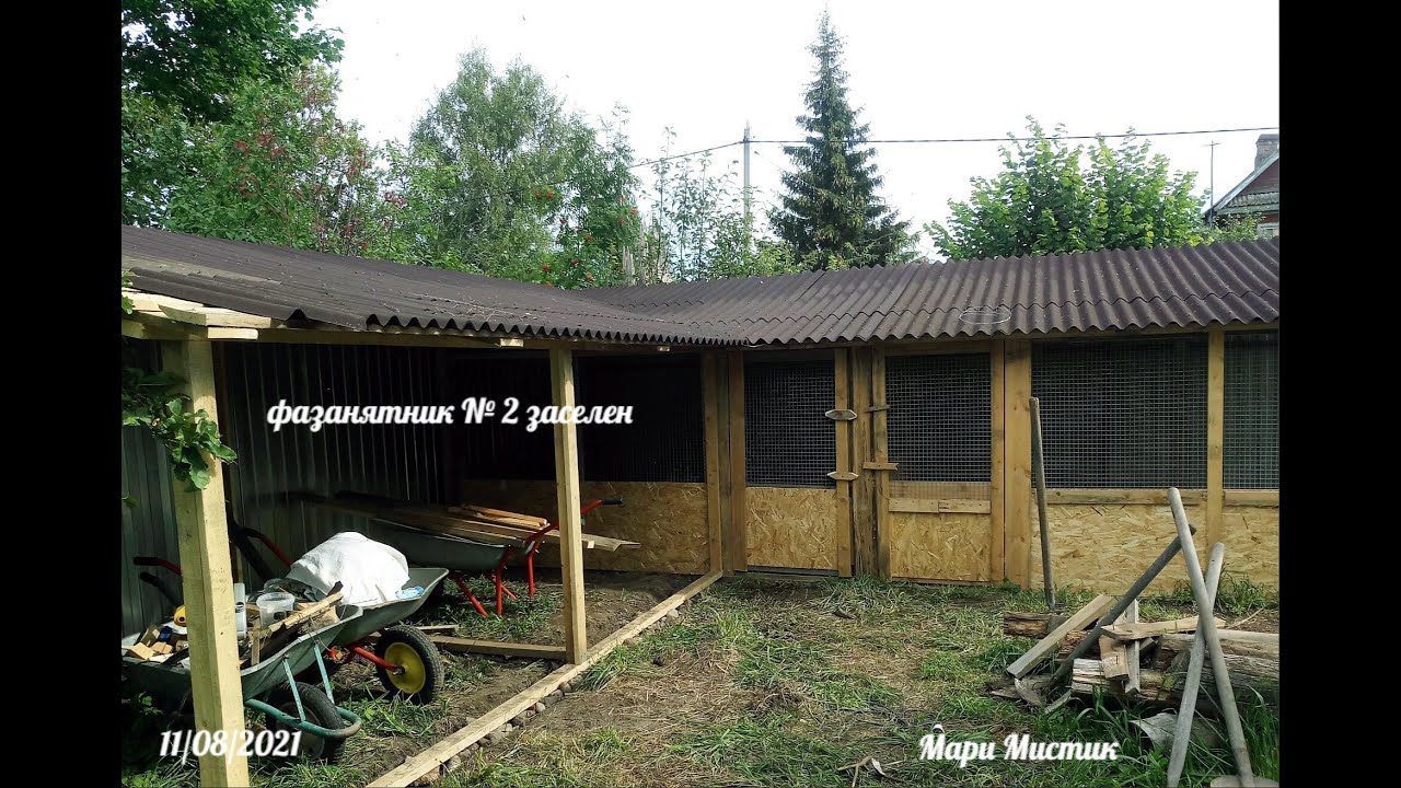 #ФАЗАНЫ с НОВОСЕЛЬЕМ ! / Вольер № 2 для ОХОТНИЧЬИХ фазанят - заселен / Птицы Мари Мистик