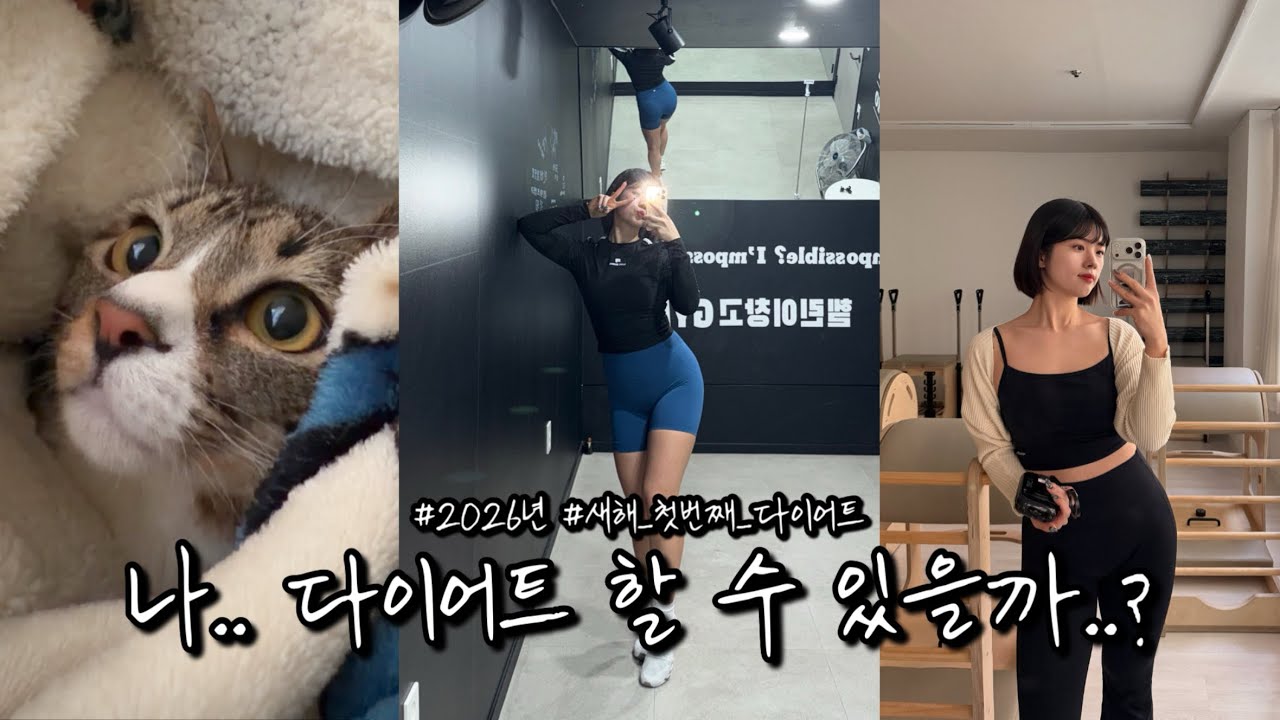 다이어트VLOG 라고 해도 되겠지…