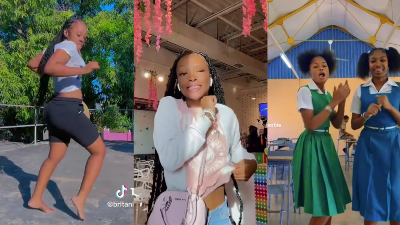 yung bredda ft marcy chin - shake  tiktok dance challenge compilation