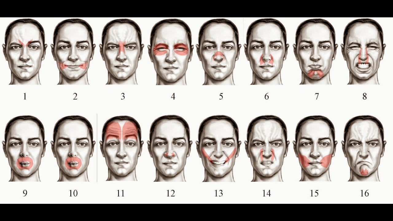 Ejercicios gesticulares / Gimnasia facial