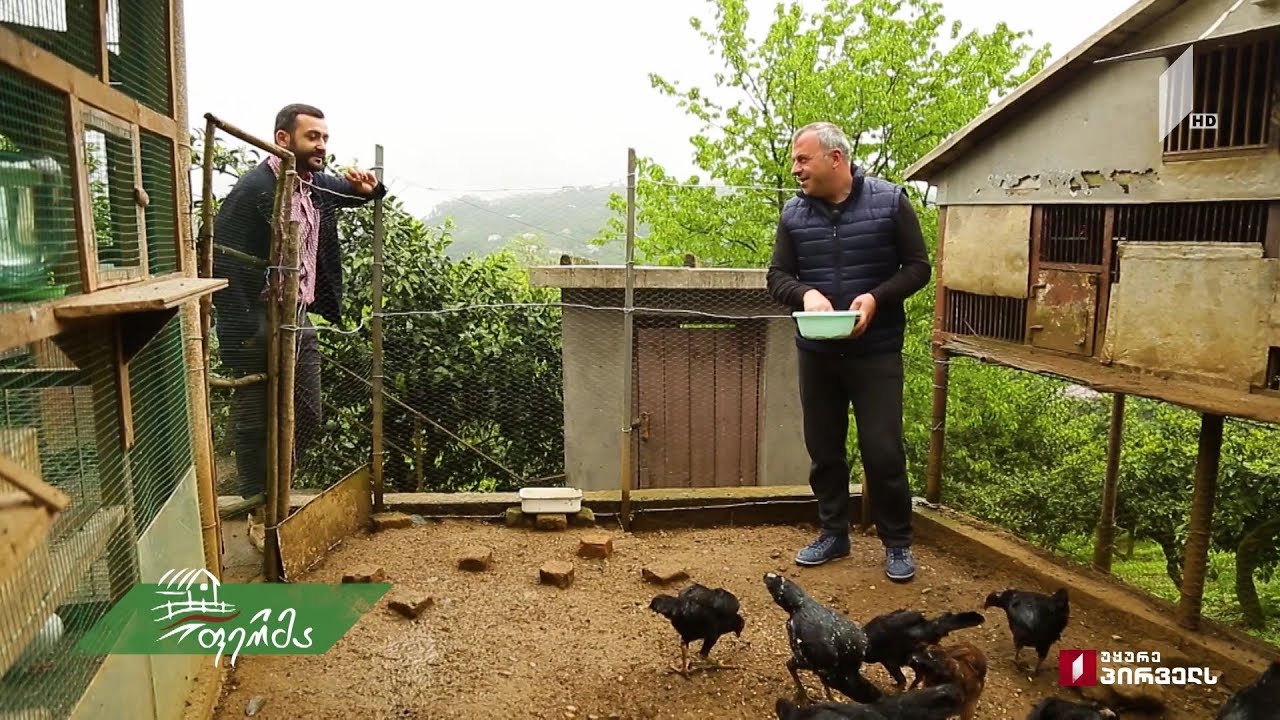 #ფერმა იშვიათი სახეობის ფრინველებისა და მათზე შეყვარებული ფერმერის ამბავი