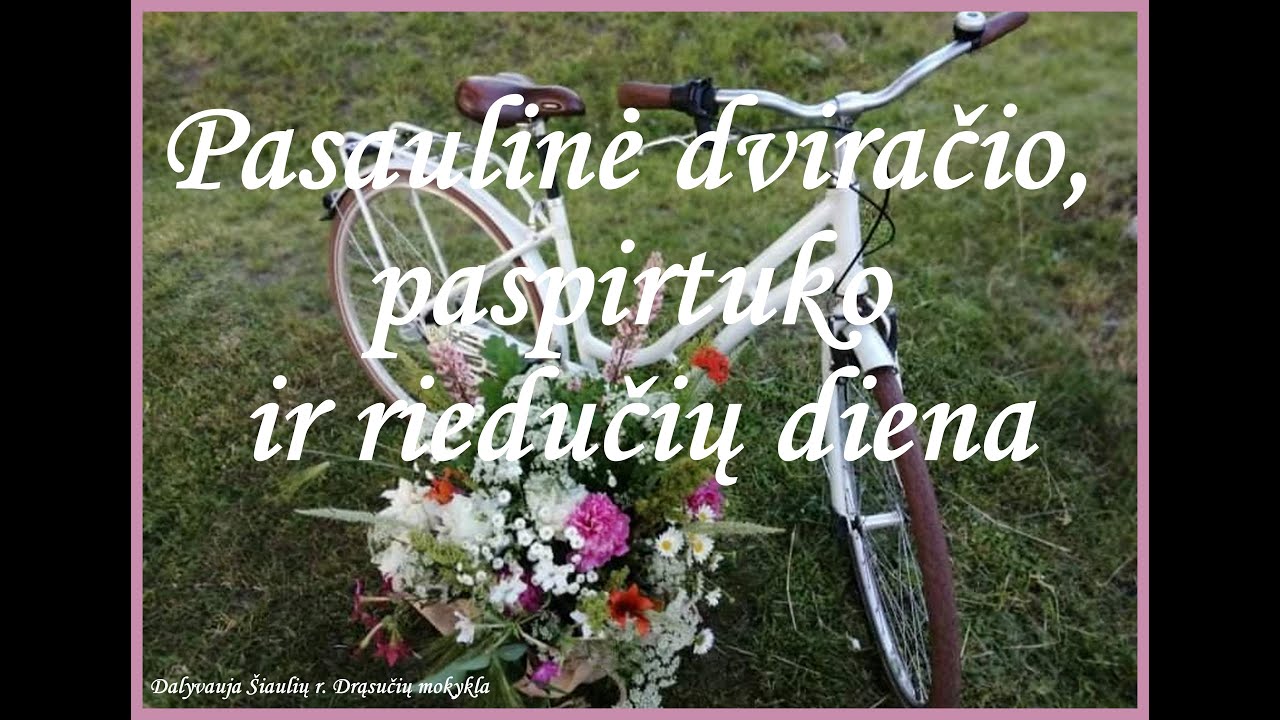 Pasaulinė dviračio diena