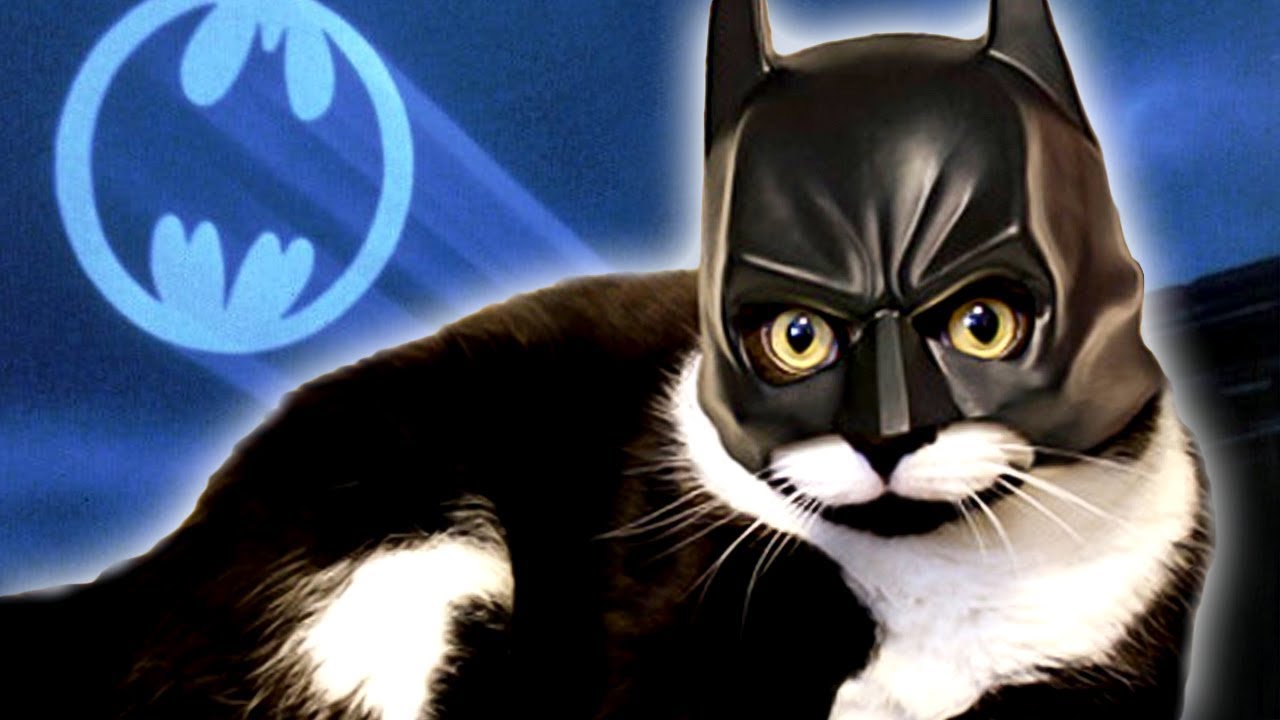 YOUR FAVORITE SUPERHERO IS TRASH | Meme Couch