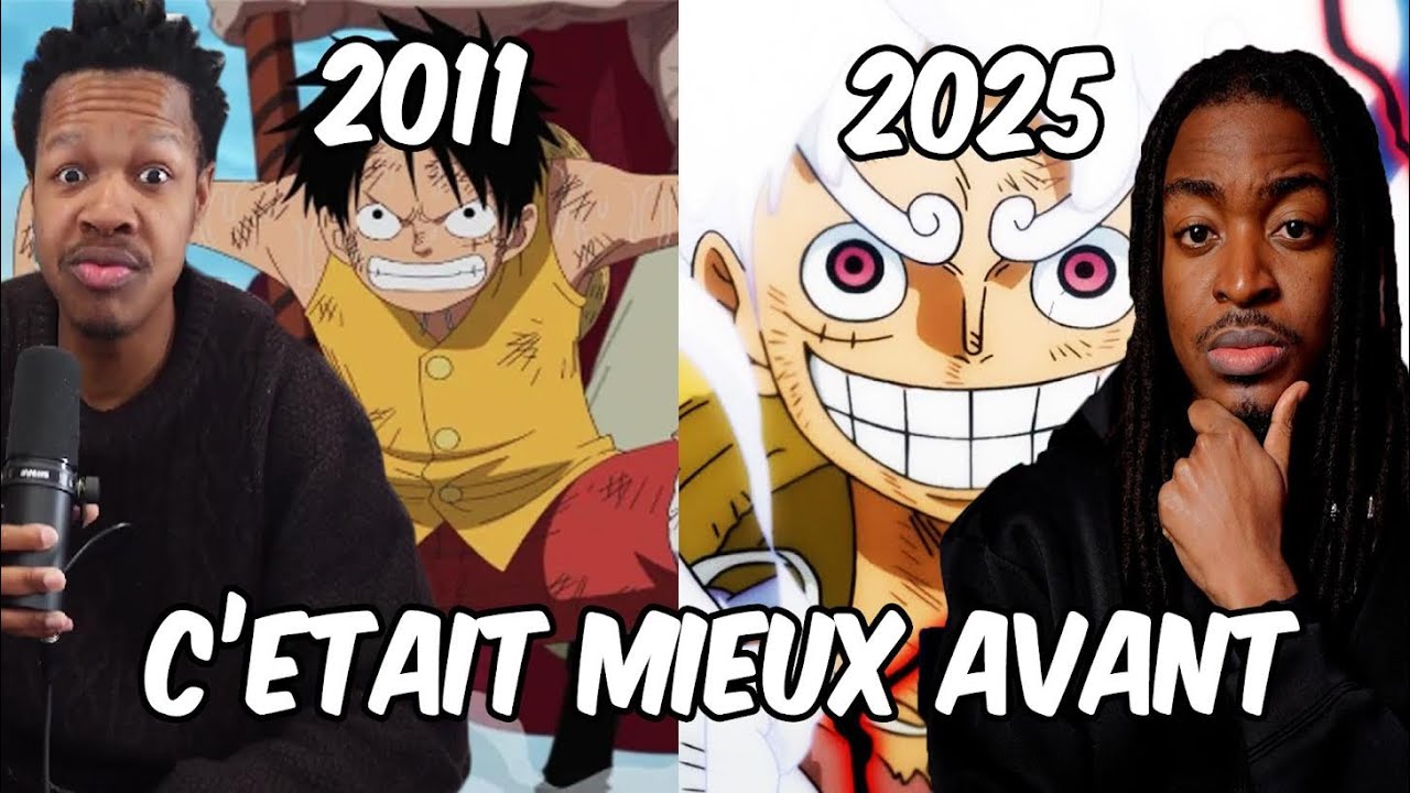 LES FANS DE ONE PIECE N'AIMENT PLUS L'ANIME À CAUSE DE L'ANIMATION ?! ft @afroroshi