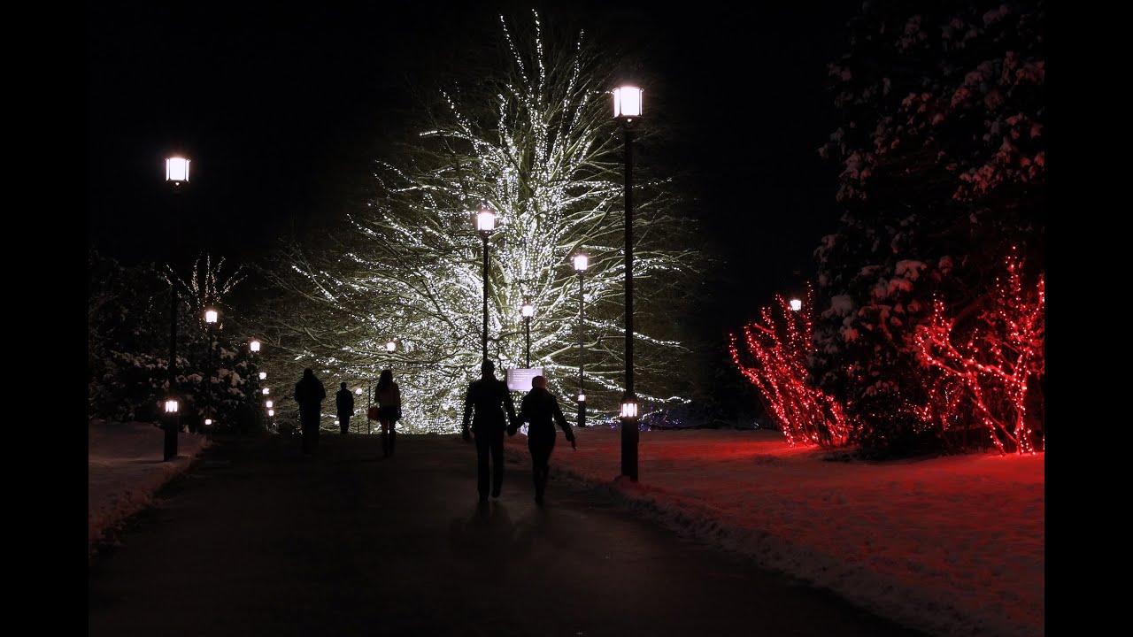 Christmas at Longwood Gardens In Snow