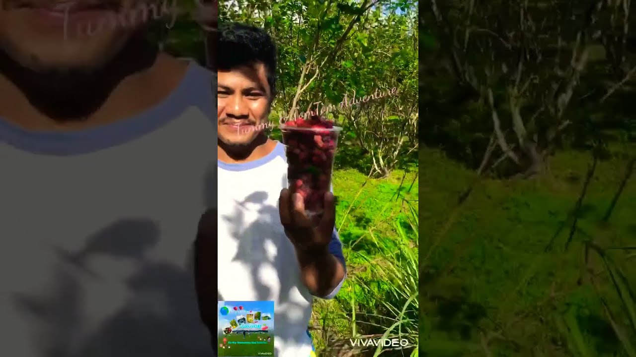 FruitPicking🇵🇭 #youtubeshorts #trending #viral #shortvideo #travel #fun #farming #philippines #fun