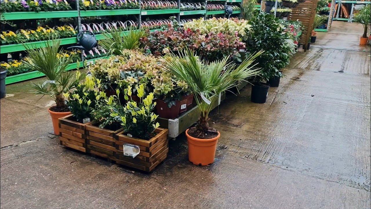 B&M February 2026  garden stock