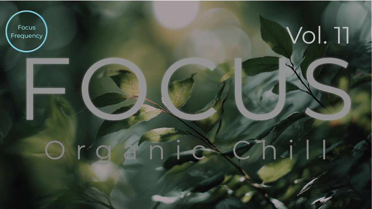 Organic Chill – Calm Ambient Flow (1 Hour) | Relax • Focus • Atmosphere
