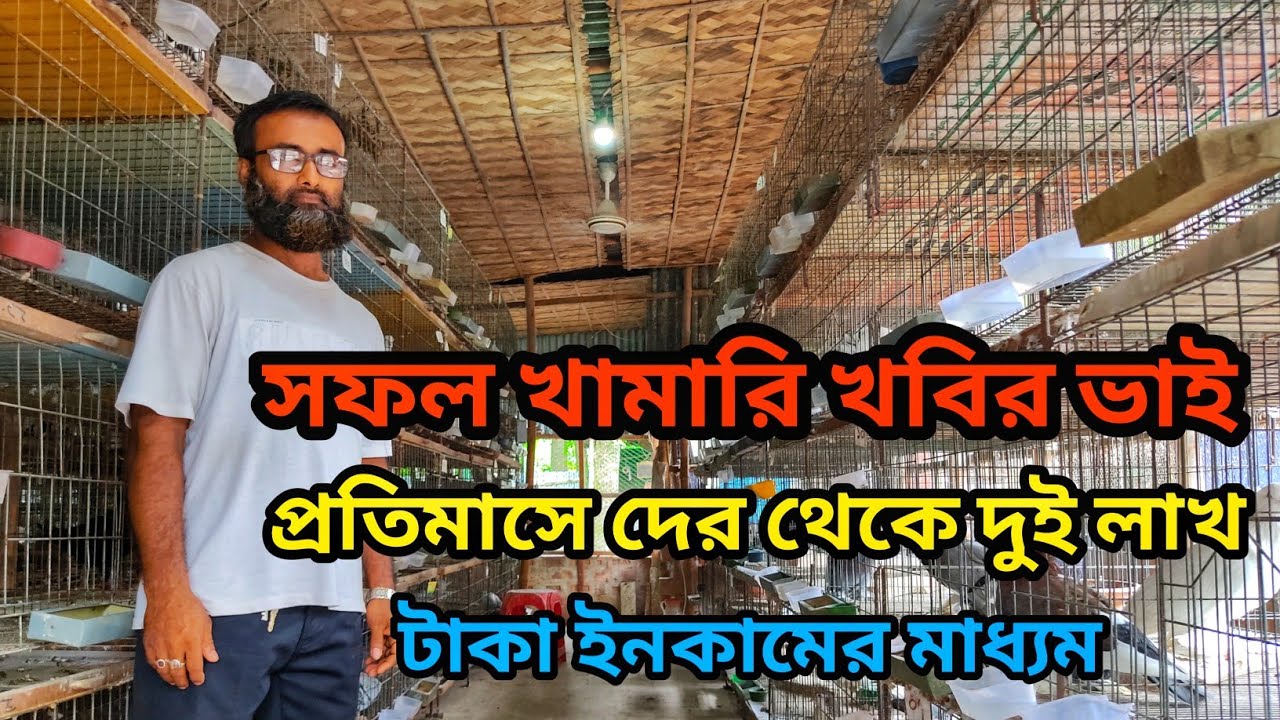 বিশাল কবুতরের খামার || কানাইপুর ফরিদপুর 🥀 #কবুতর #Pigeon