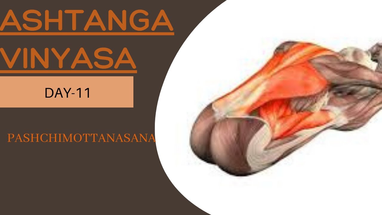 Day-11|Ashtanga yoga beginners | ashtanga yoga step by step | vinyasa sitting | yoga with prashant