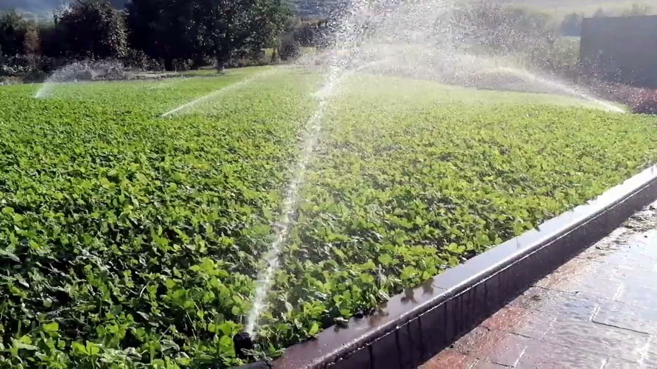 System for watering the garden. Automatic Irrigation With Hunter PGJ  Rotors,
