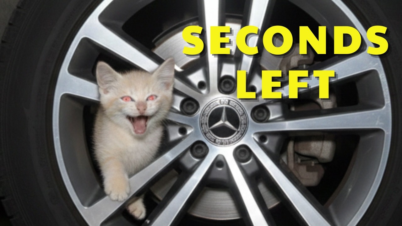 This Tiny Kitten Was Seconds Away From Death — Until Someone Ran.