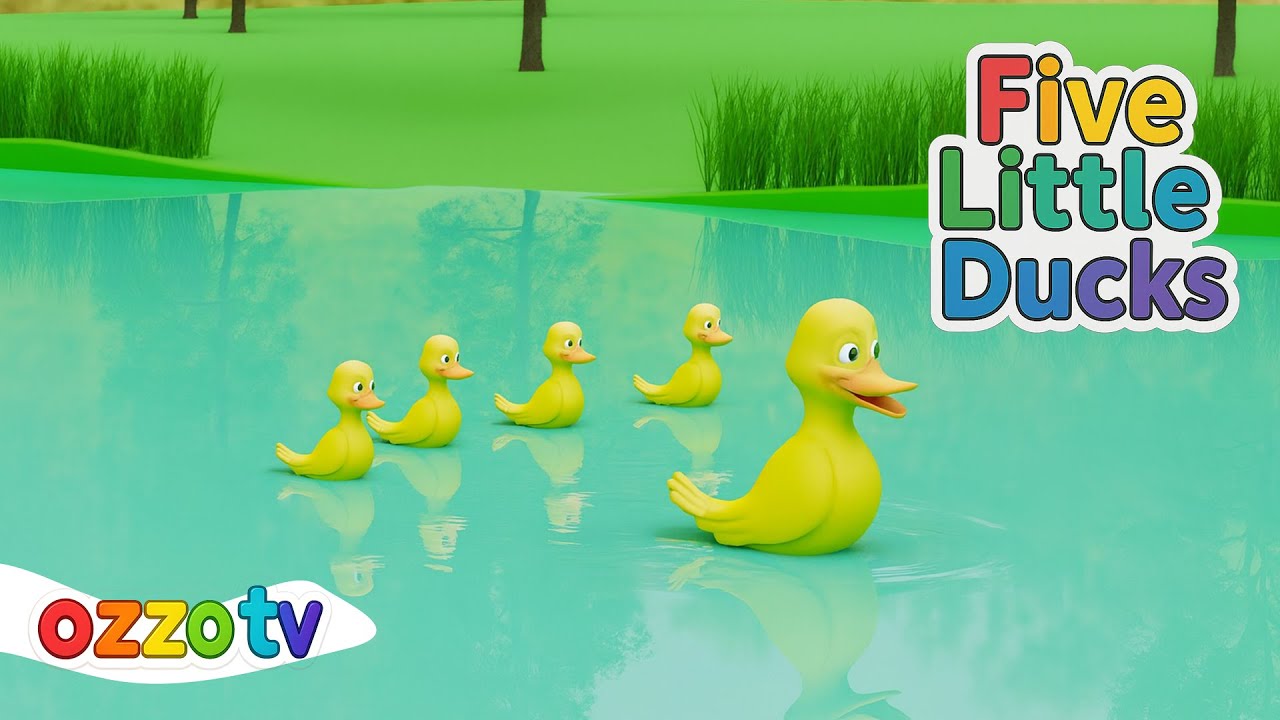 Five Little Ducks ~ 5 Little Ducks Song | Nursery Rhymes Ozoo TV