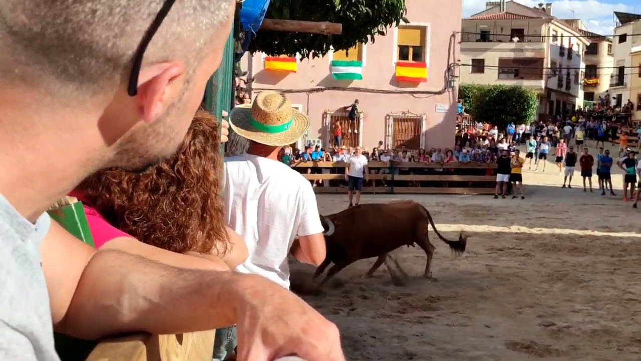 Tarde de vacas en Santiago de la Espada!!
