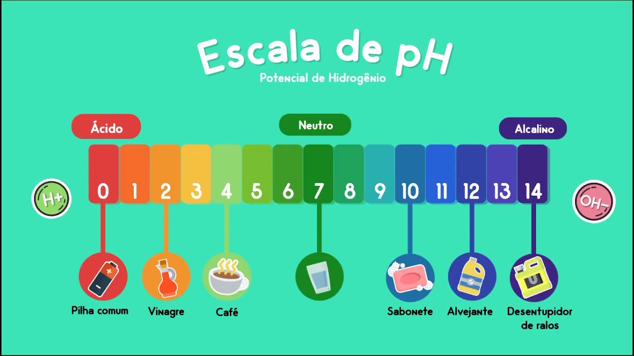 Introdu&ccedil;&atilde;o &agrave;s Bases, &aacute;cidos e escala de pH