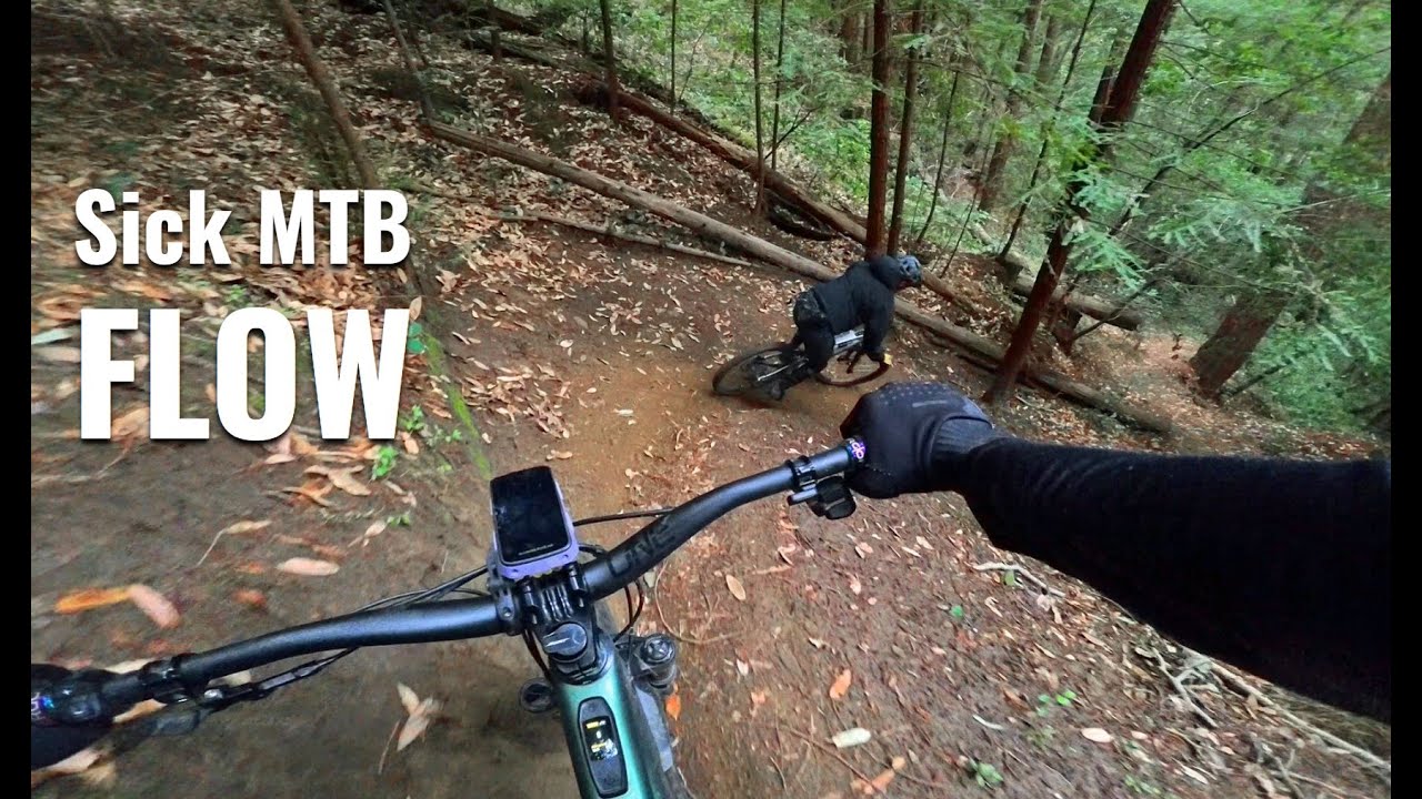 Santa Cruz mountains absolute mega flow - love this trail, nonstop fun!