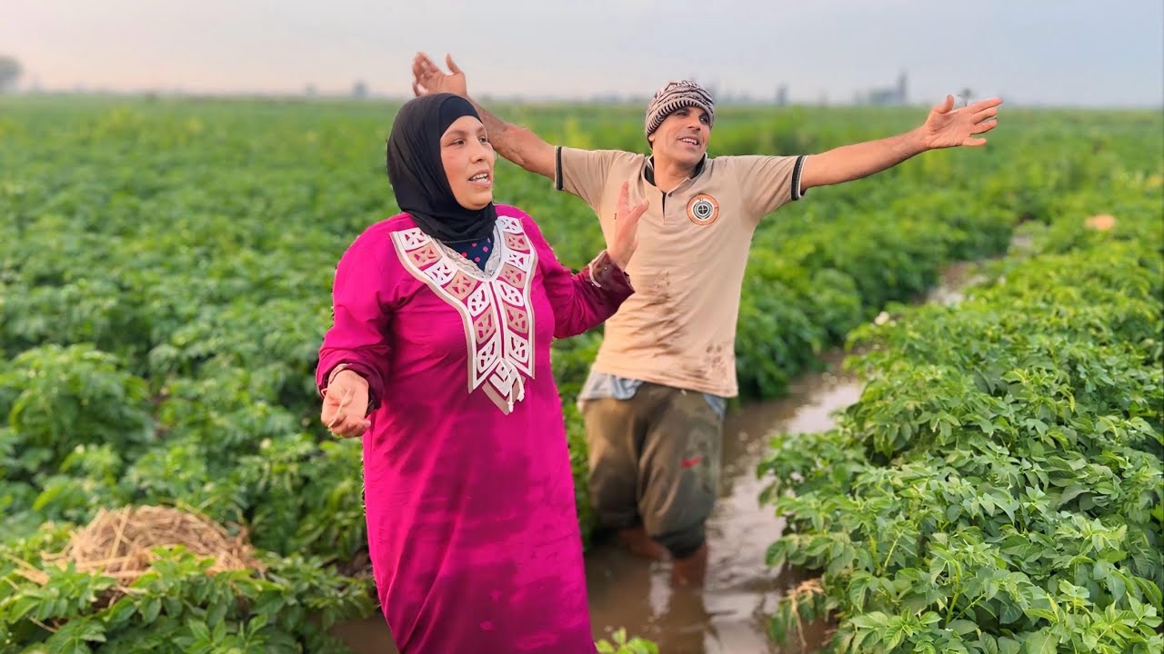 مش قولتكم هعمل عظمة مش كل صعب يتقال علية مستحيل روحنا نروى زرعناوحصلت حاجة ربنا نولى مرادى قدام عينى