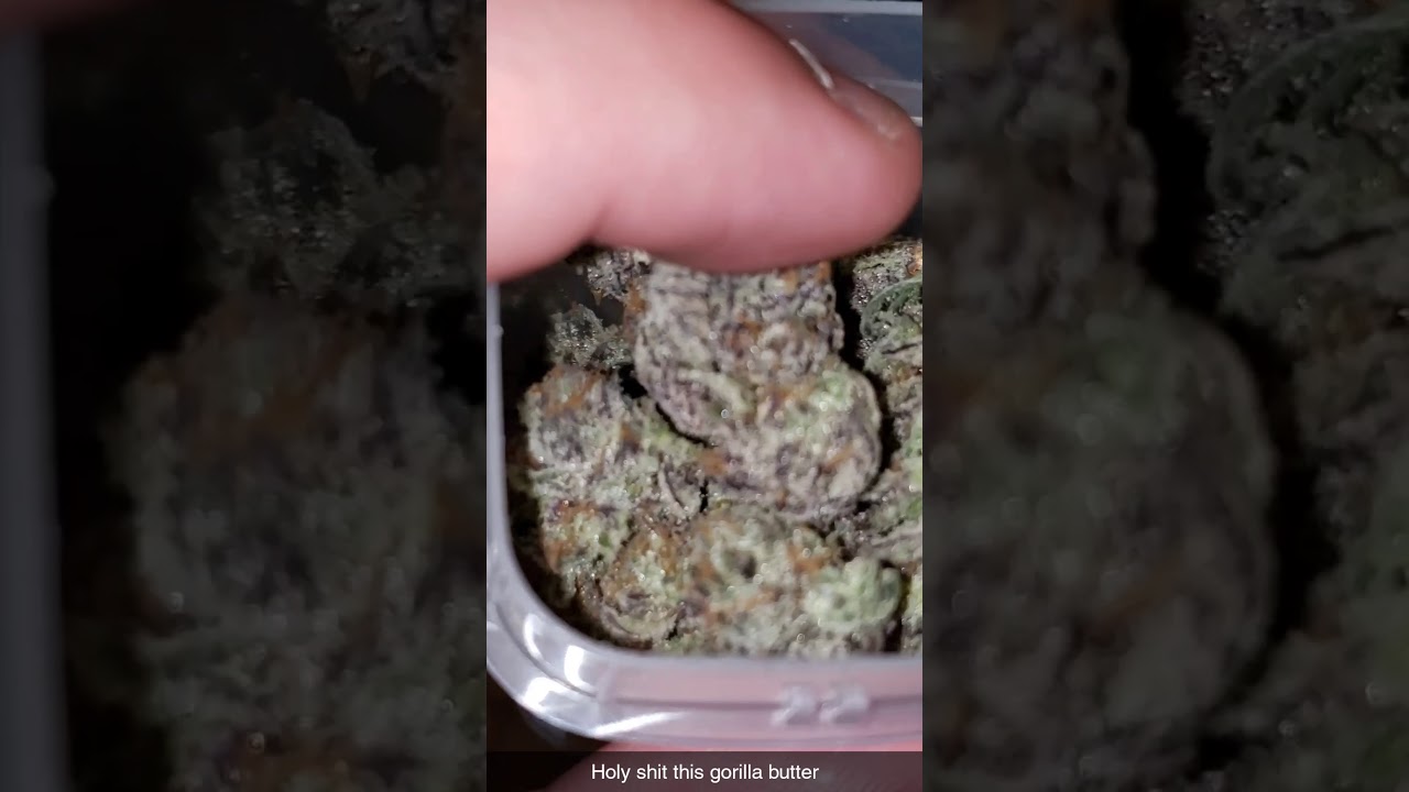 Aeriz Gorilla Butter