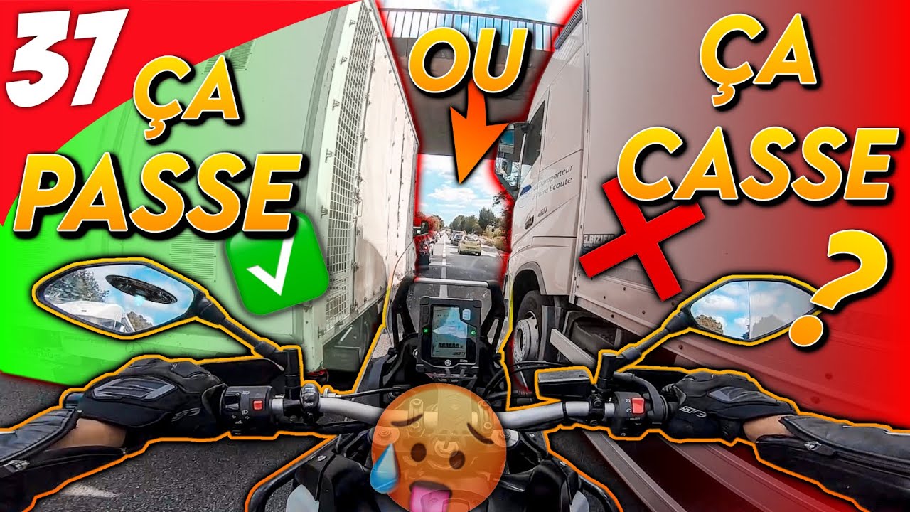 Je n’ai plus peur de rien 😎 (on y va à la parisienne !) - Daily Observation 37 - ErDoZz