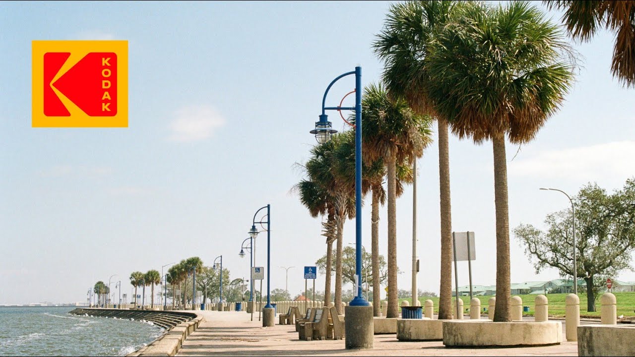 Kodak Gold on a Perfect Day