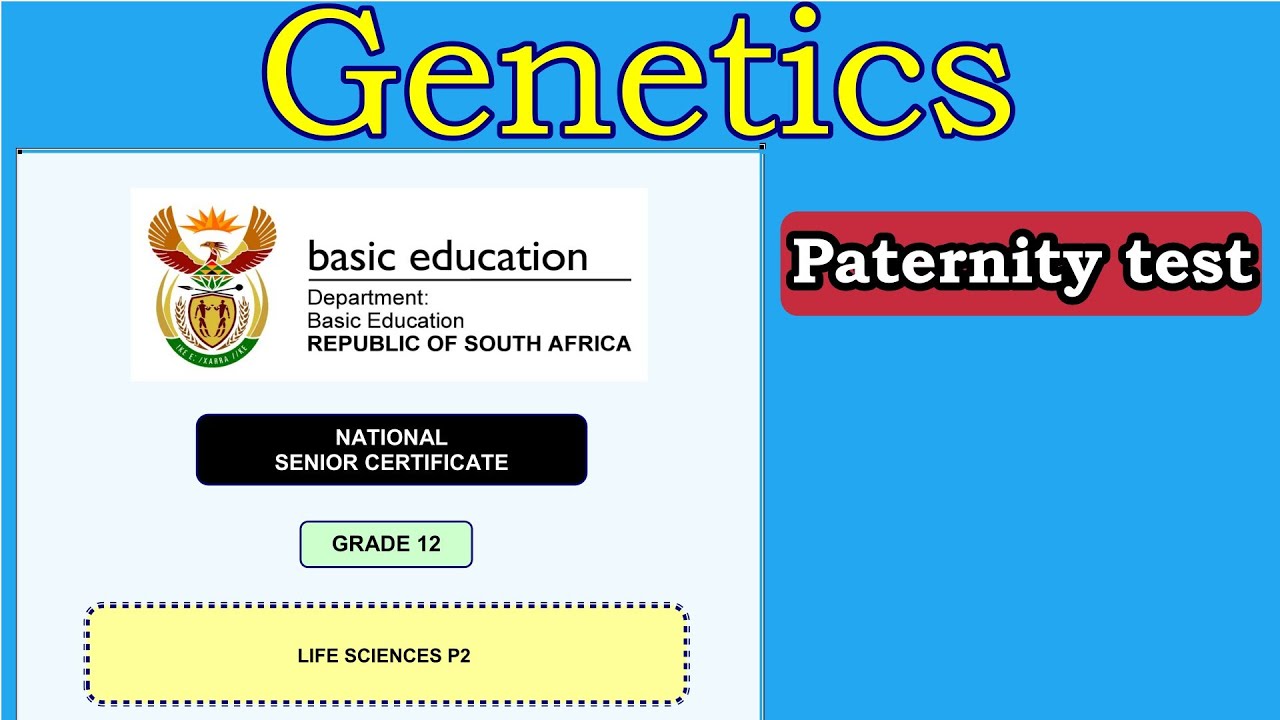 Exam Question | Genetics | Paternity test with blood type and DNA profiling | Life science grade 12