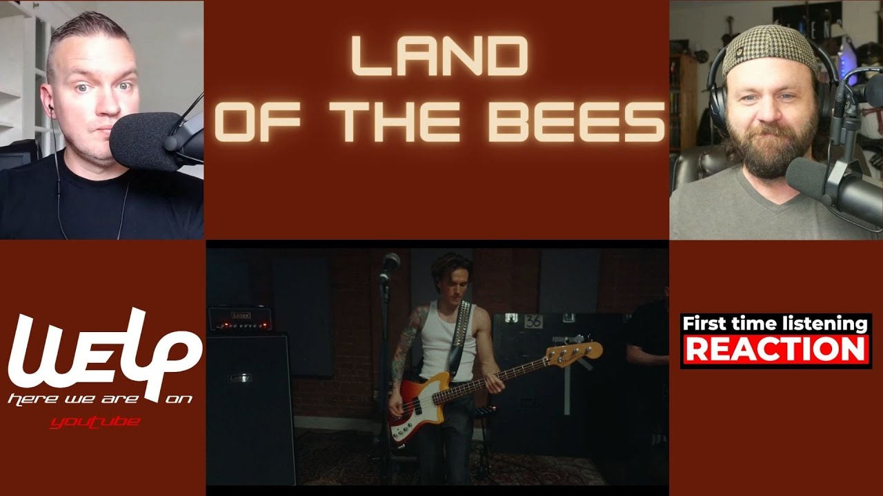 McFly - Land of the Bees (live) || REACTION