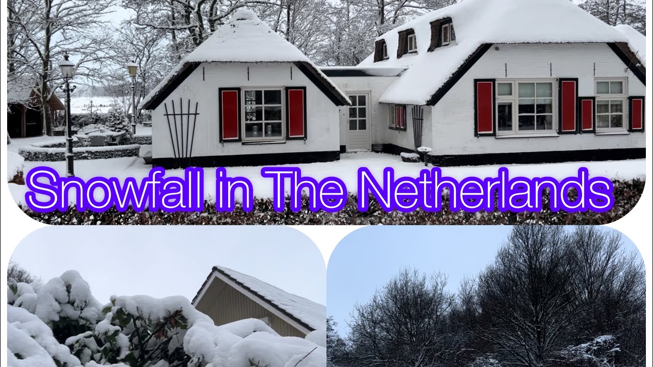 Snowfall - 2026 (The Netherlands). Exploring Europe. 