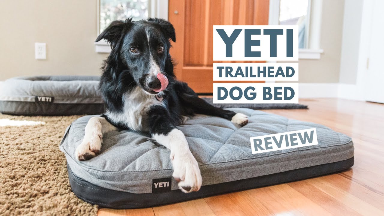 YETI Trailhead Dog Bed Review - 2 Beds in one!