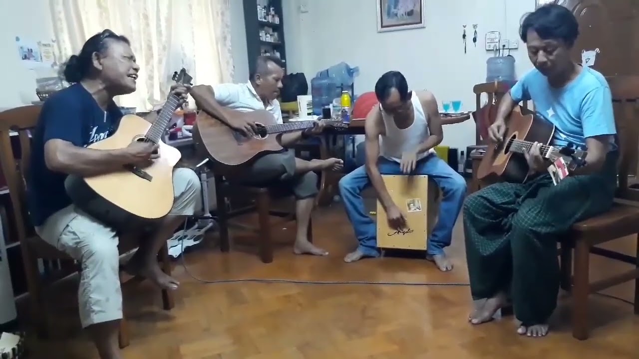 ဟယ်ရီလင်း လိပ်ပြာ (Cover)