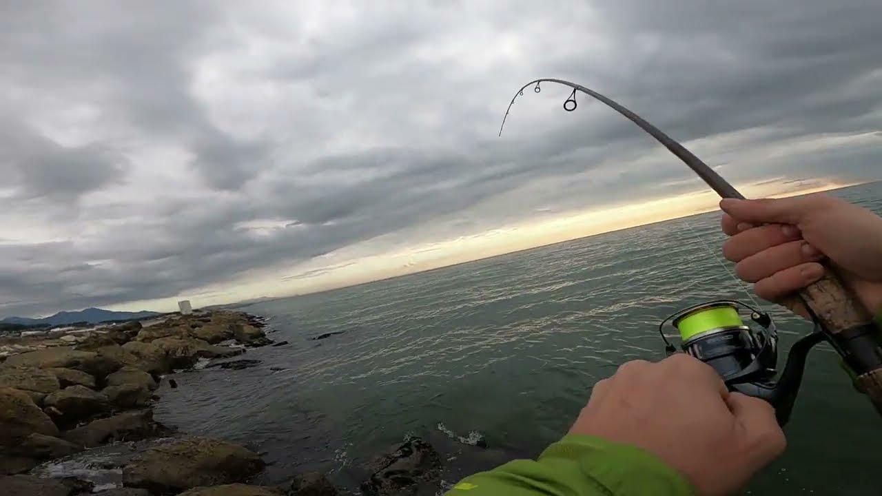Un SOGNO che si REALIZZA. LECCIA AMIA a TOPWATER!!! LIVE ATTACK e pranzo non DIGERITO misto ANSIA.