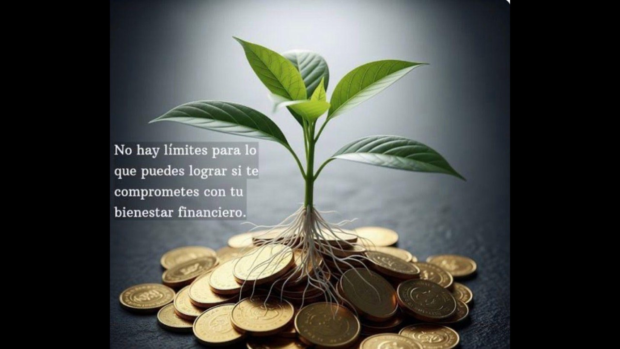 Caracter financiero y mentalidad