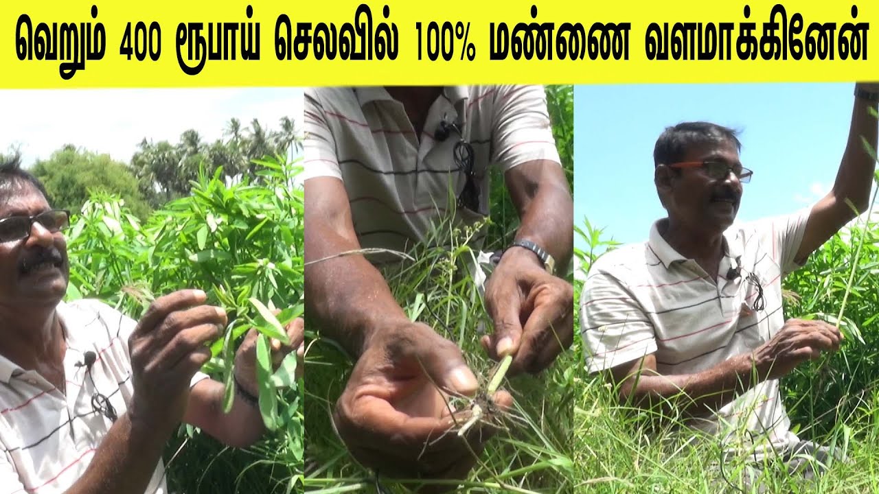 வெறும் 400 ரூபாய்  செலவில்  100% மண்ணை வளமாக்கினேன் /I fertilized the soil 100%