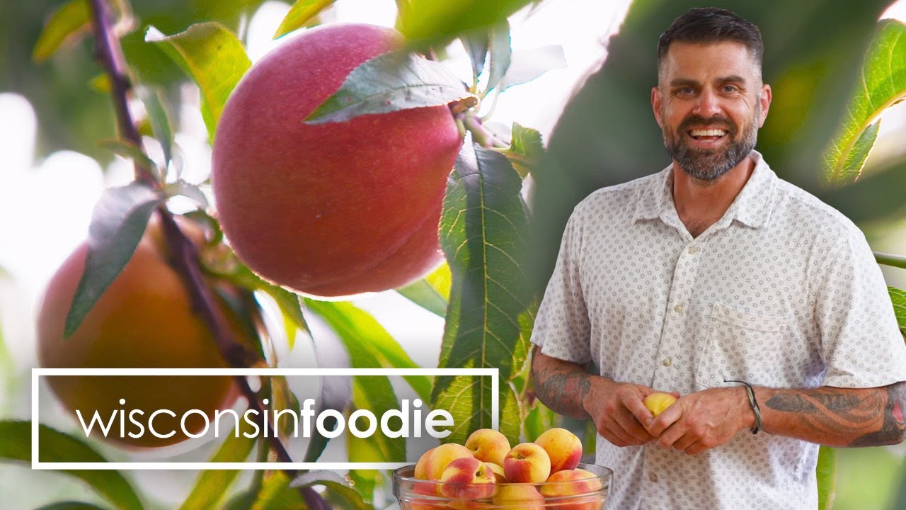 Peaches | Tree Ripe Fruit Co. | Pearson Farms