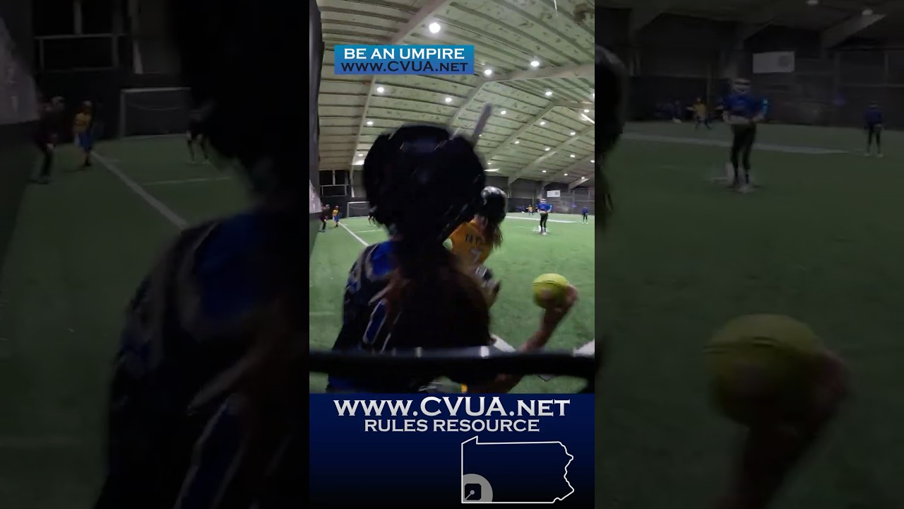 2/1/26 Sights and Sounds 