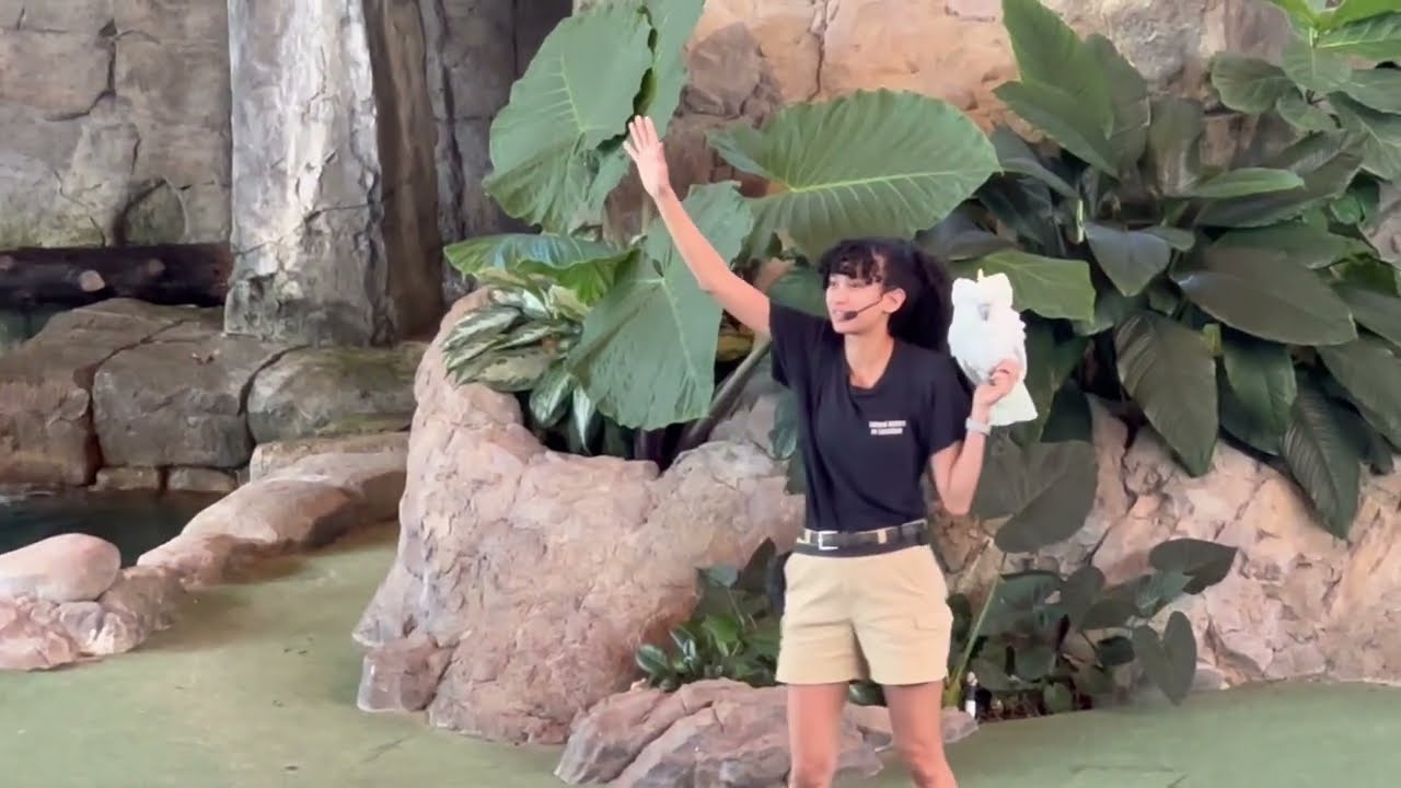 Animal Actors of Universal Studios in Orlando, Florida.