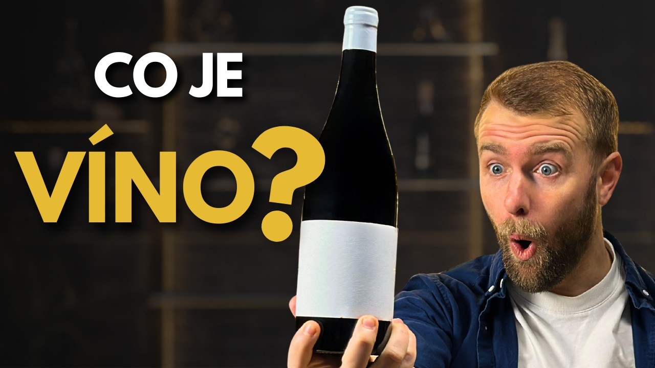 Co je to víno a jak vzniká? Základy vína pro začátečníky