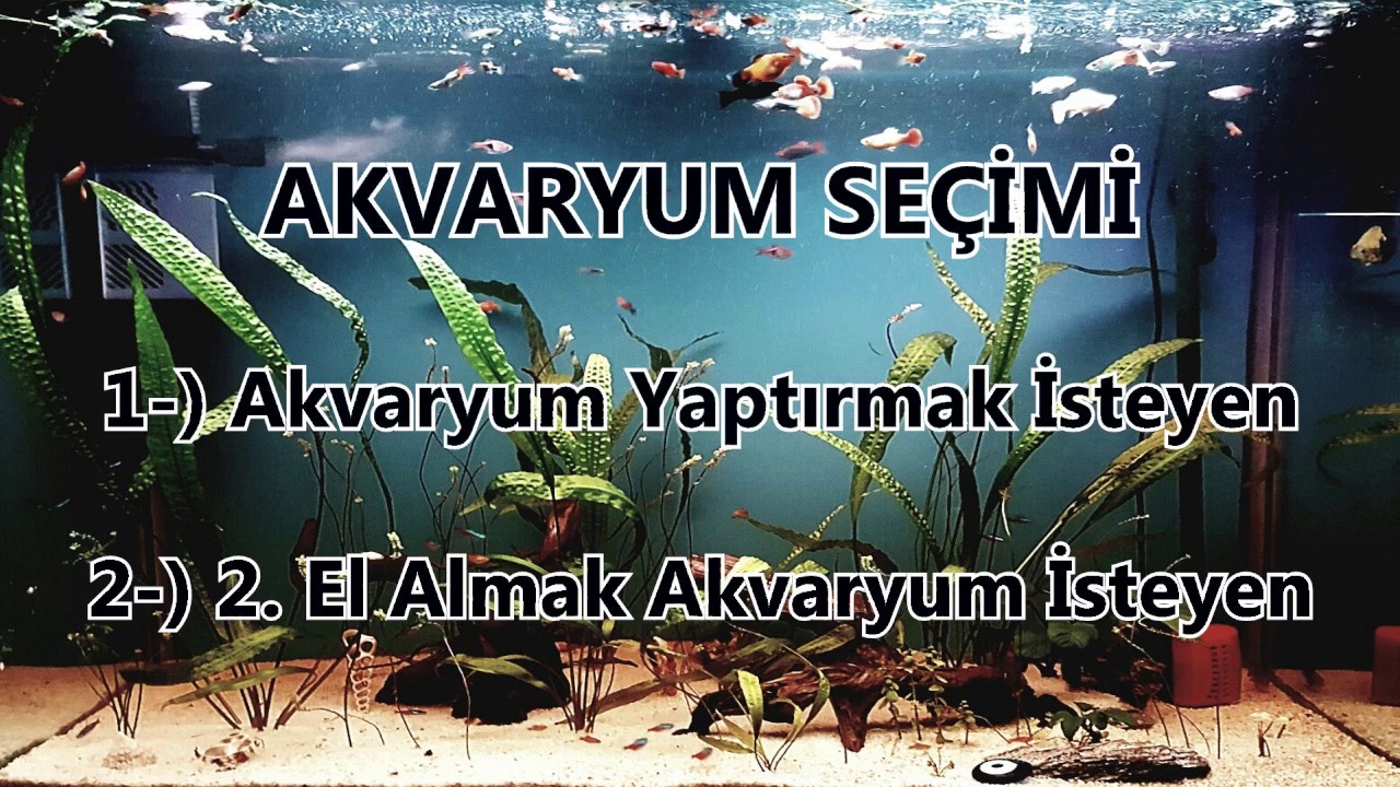 Akvaryum Seçimi (Part 1)