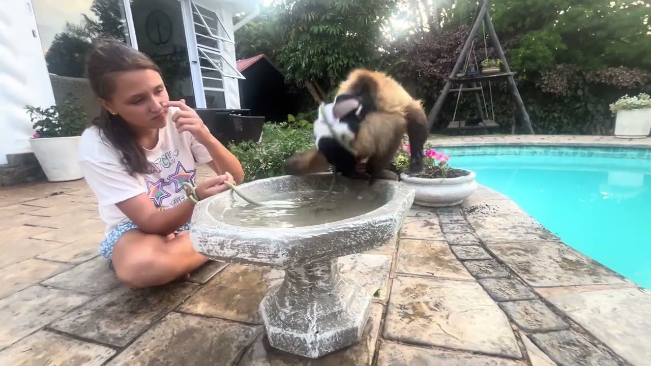 Splashing  by the pool after a long walk 